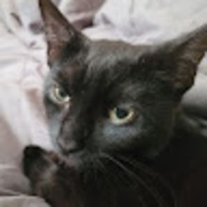 Meet your Posher, Janae